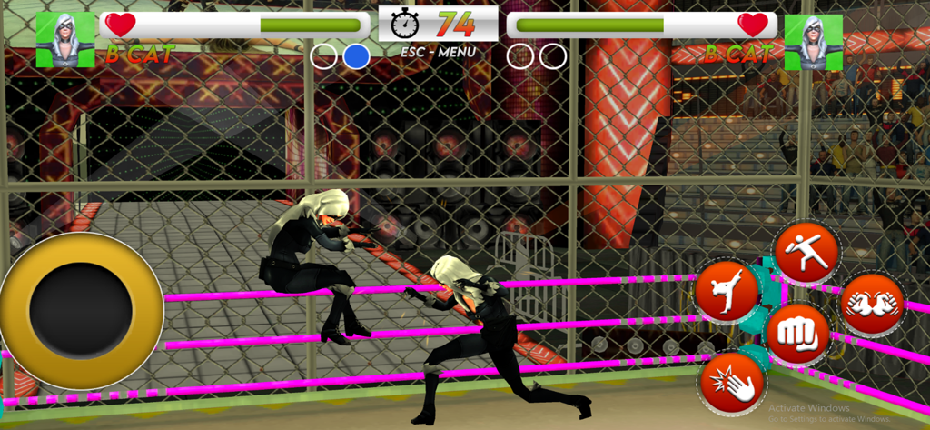 Spider Hero Fighting Games - Two female characters named B Cat fighting in a ring in Spider Hero Fighting Games