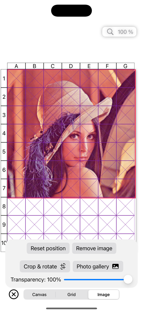 Drawing Grid - Drawing Grid app interface displaying a portrait with a reference grid overlay