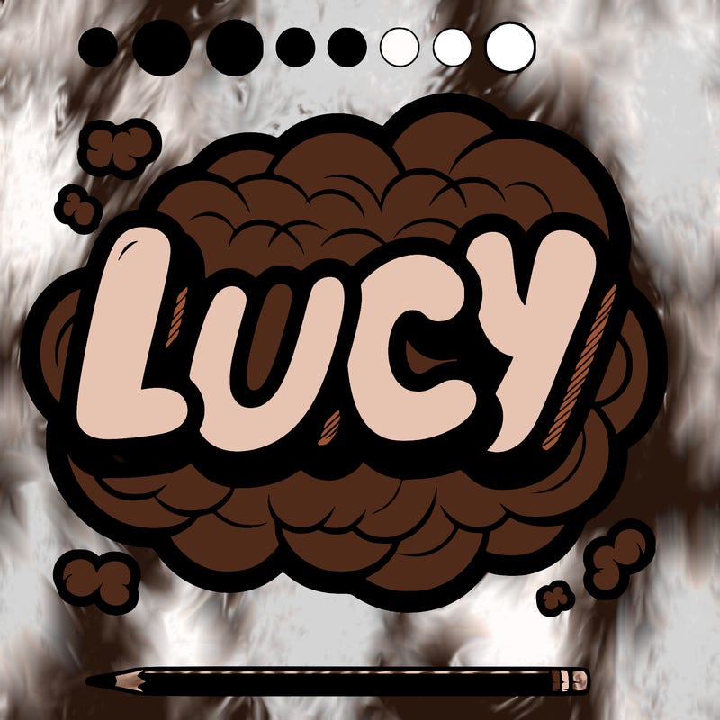 lucy the name in bubble letters all realistic covers the page