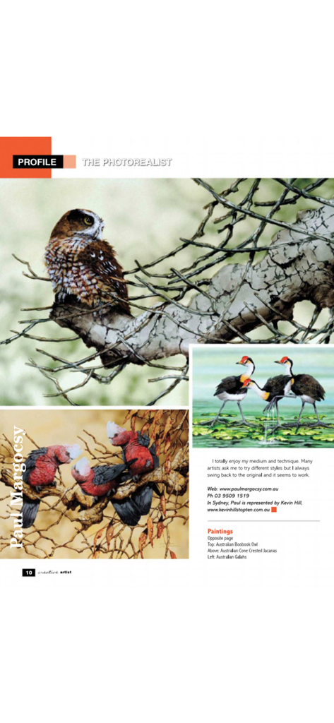 Creative Artist - Une page de profil de magazine de l'artiste photoréaliste Paul Margocsy présentant des peintures d'oiseaux réalistes.