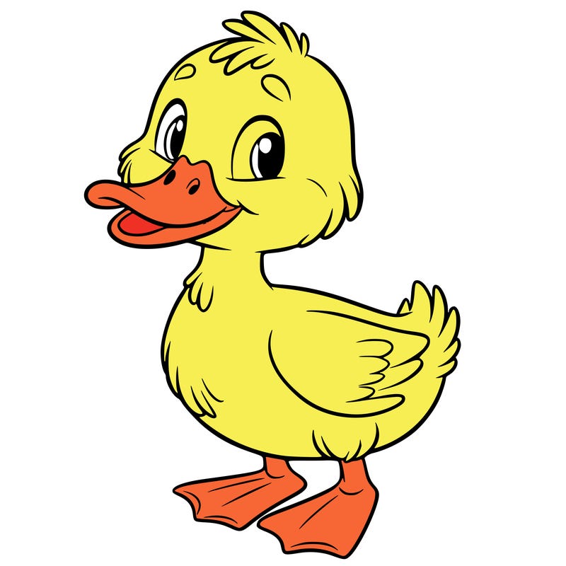 duck