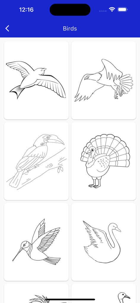 SketchifyTracer - A gallery of bird line art drawings in the SketchifyTracer app featuring a seagull eagle toucan turkey hummingbird and swan for tracing
