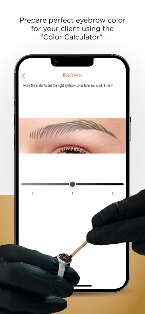PhiApp-Oberfläche mit dem Augenbrauen-Farbrechner-Tool für Permanent-Make-up-Künstler