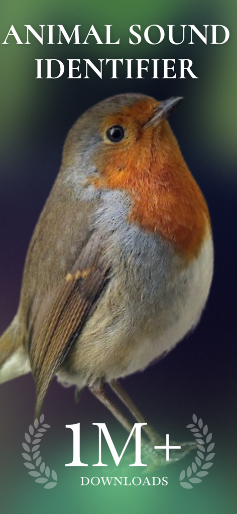 Animal Sound Identifier - Animal Sound Identifier app splash screen featuring a European Robin and one million downloads badge