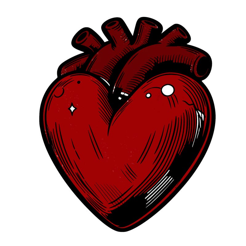realistic heart