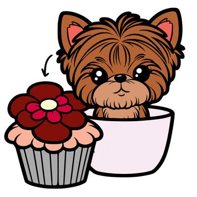teacup yorkie