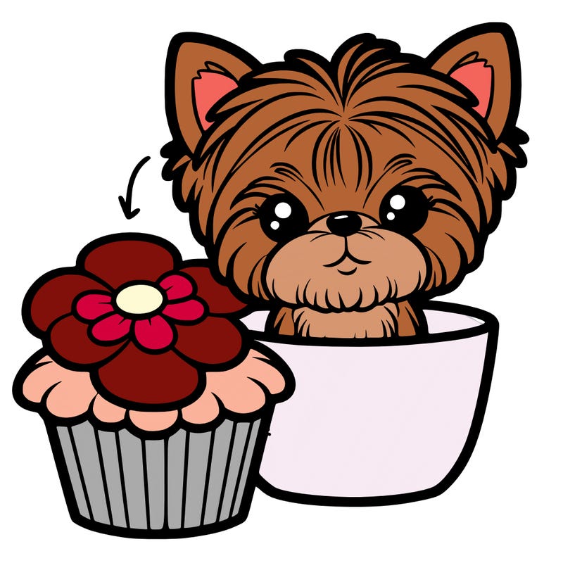 teacup yorkie