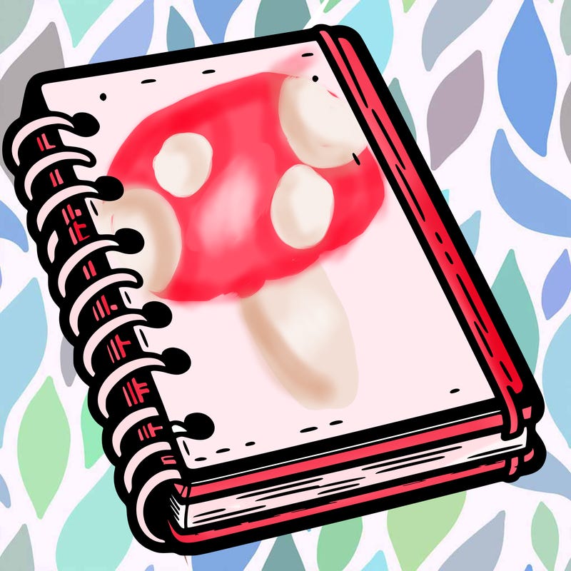 notebook