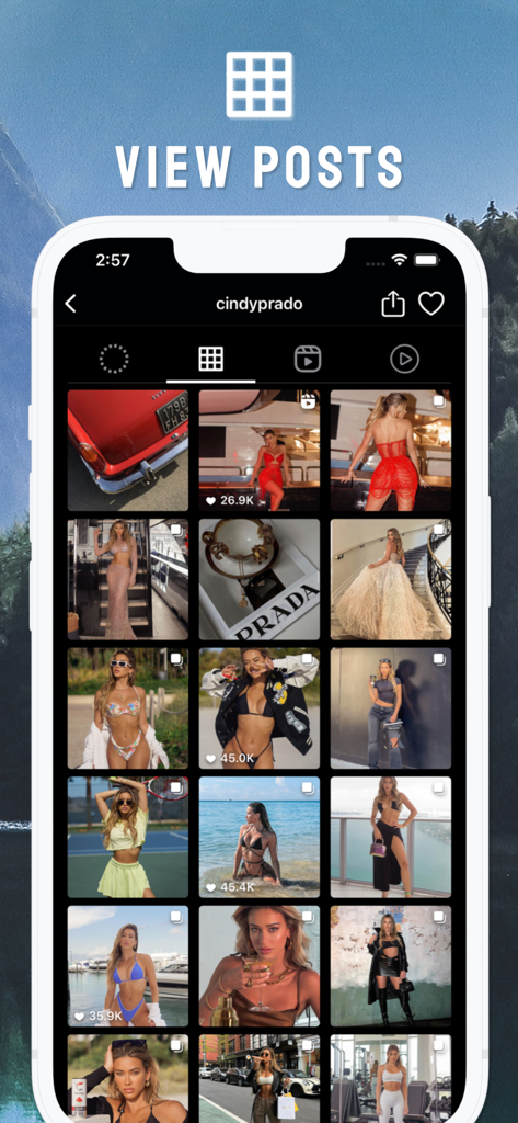 A screenshot of the Poze app interface showing a grid of social media posts from an Instagram profile in dark mode.