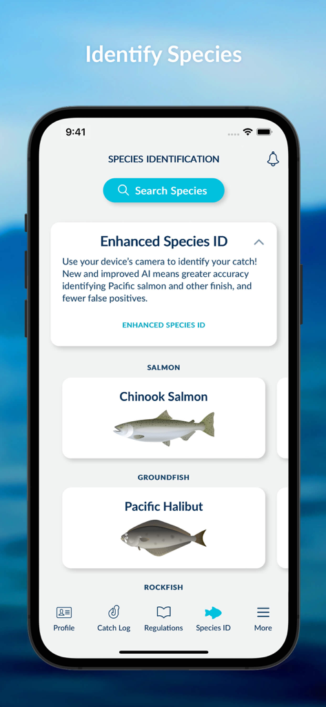 FishingBC - The species identification screen of the FishingBC app displaying illustrations of Chinook Salmon and Pacific Halibut with an AI-powered identification feature.