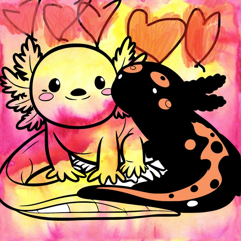 axolotl‘s and salamanders together and friends