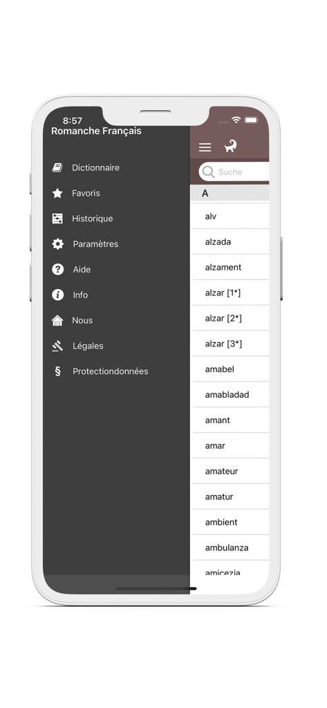 Menu de navigation latéral et interface de liste de mots de l'application mobile de dictionnaire romanche-français.