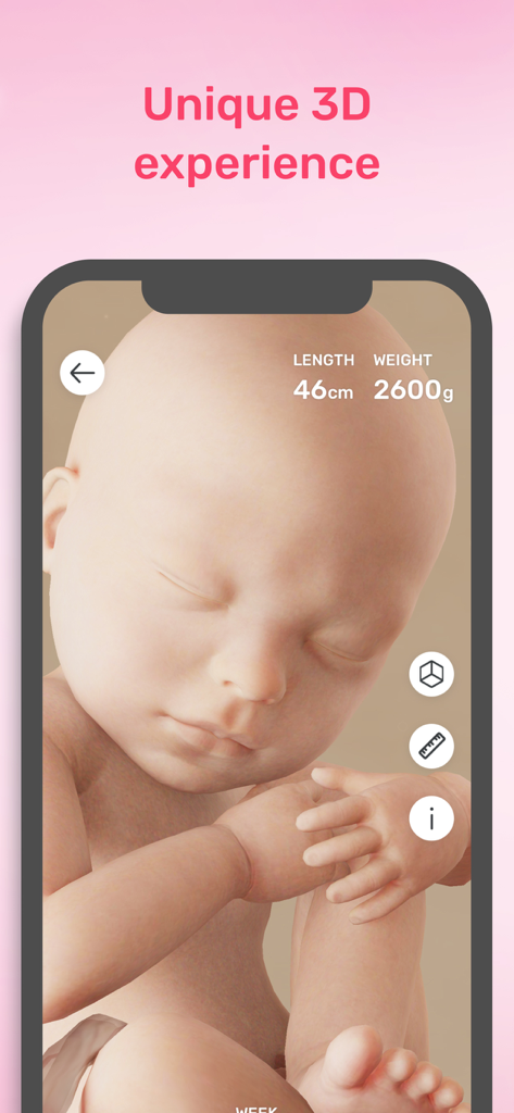 Preggers | Pregnancy tracker - Realistic 3D baby development visualization in the Preggers pregnancy tracker app