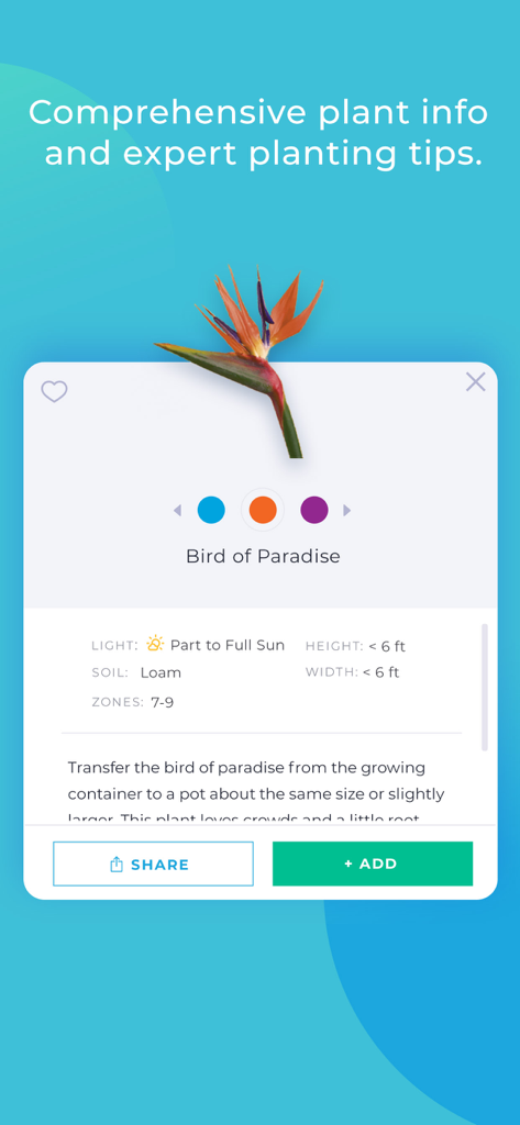 iScape app interface displaying comprehensive plant information and planting tips for a Bird of Paradise flower.