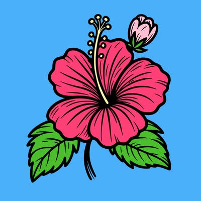 hibiscus flower