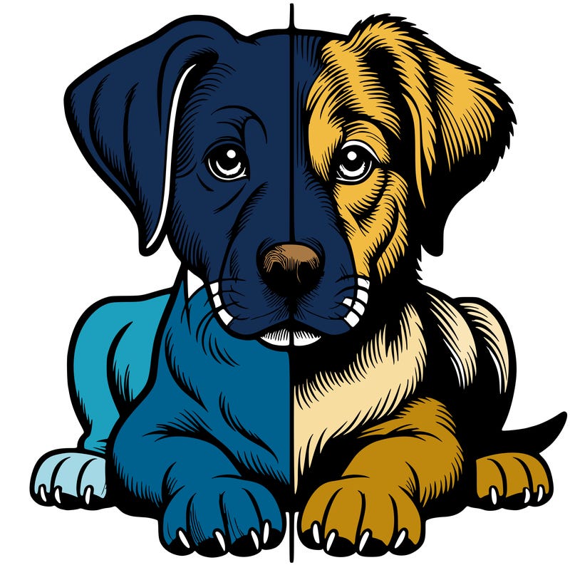 realistic dog split picture