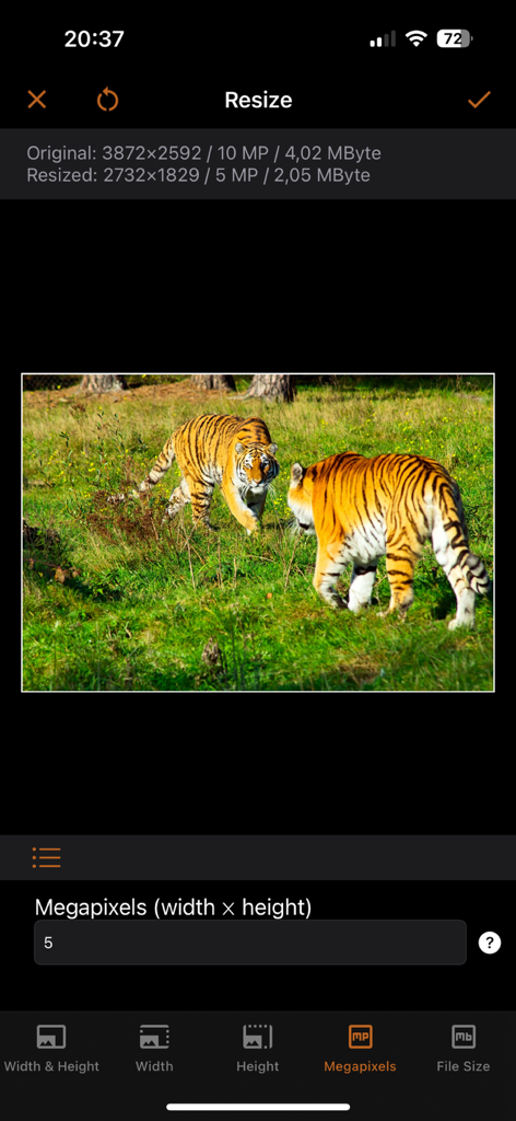 Interface mobile de l'application iSize montrant une photo de tigres redimensionnée à l'aide du réglage des mégapixels.