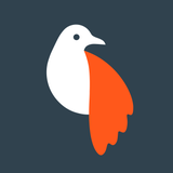 Olli by Tinrocket - App Icon