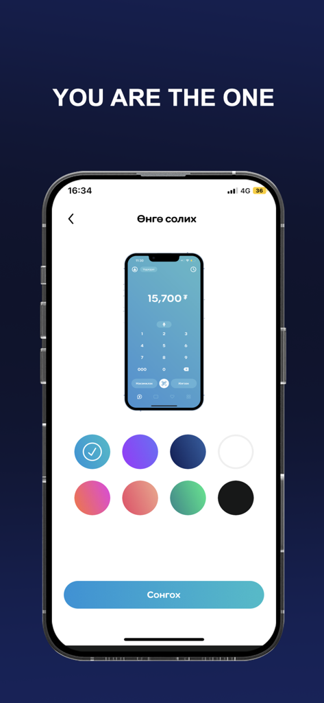 SocialPay app interface for choosing a custom color theme