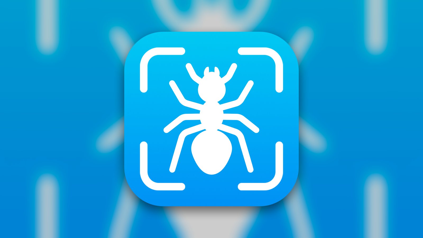 Bug Finder: Identifier - App de Referencia | MWM