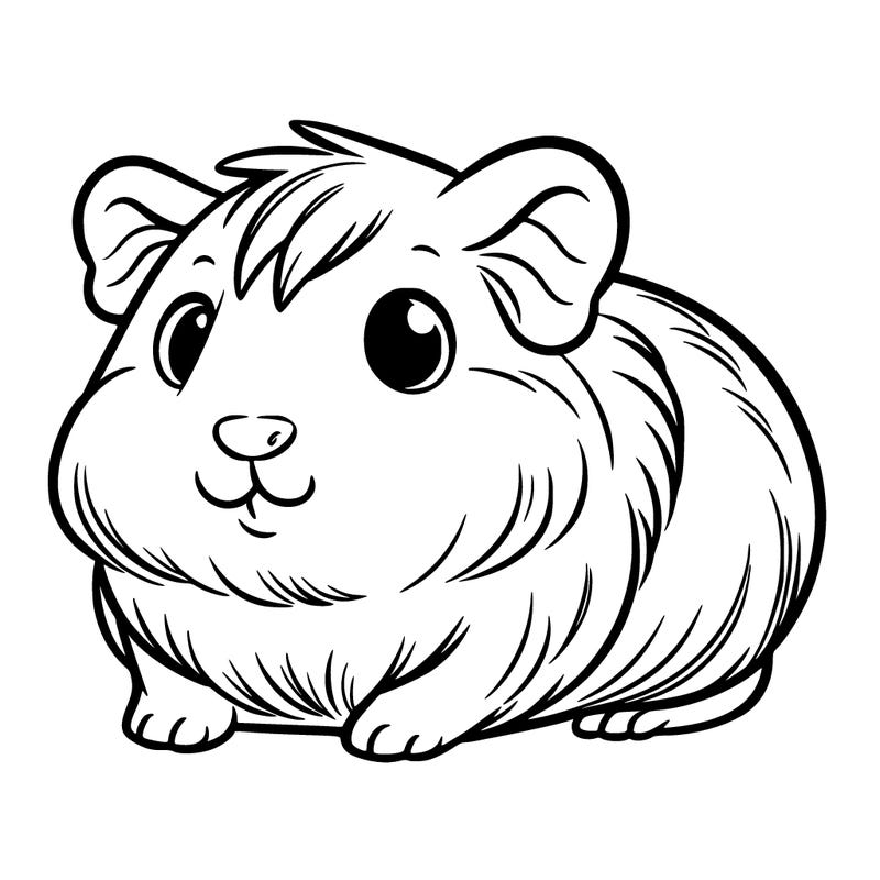cute guinea pig
