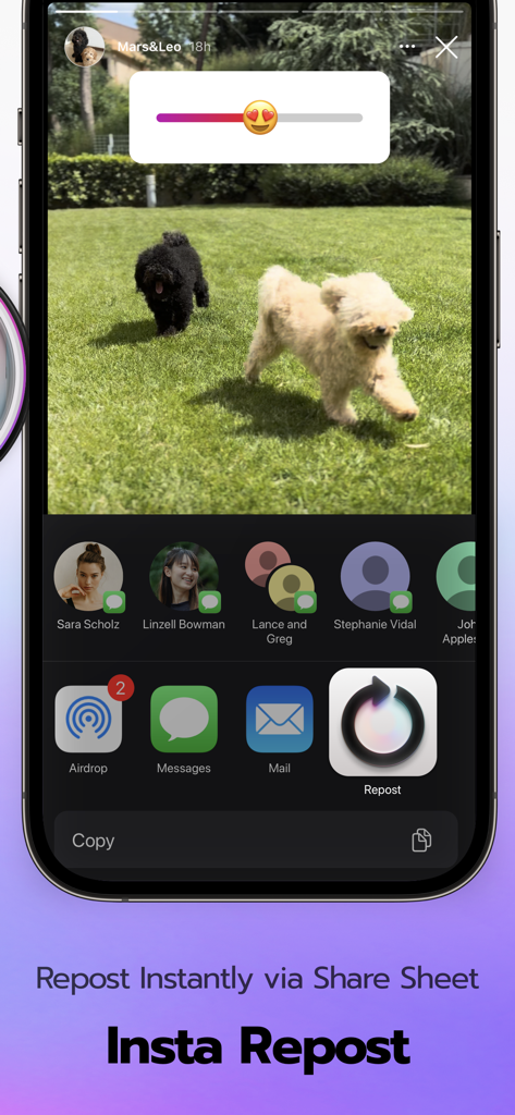 iPhone screen showing the Repost app icon within the iOS Share Sheet while sharing an Instagram story.
