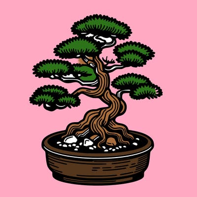 japan bonsai