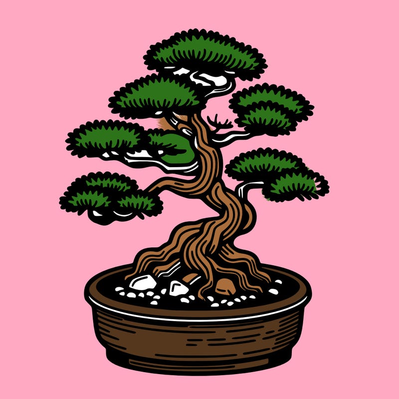 japan bonsai