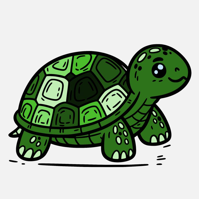turtle
