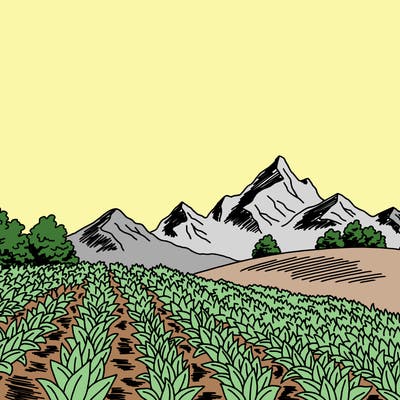 places_08