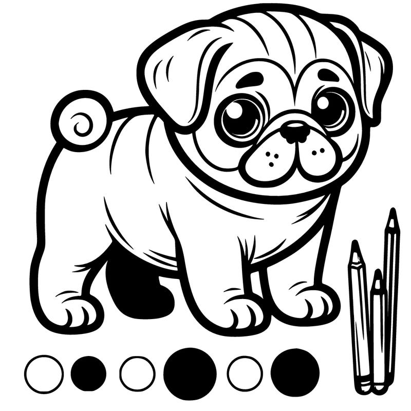 pug