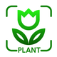 Plant Identifier:Picture Plant