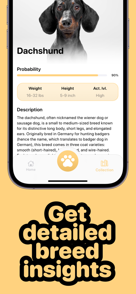 Dog scanner - Gos - Detailliertes Rassenprofil für einen Dackel, das Gewicht, Größe und Aktivitätsniveau in der Dog scanner App zeigt