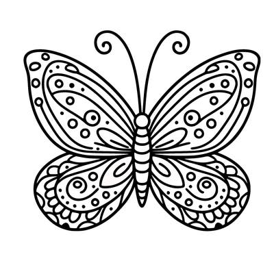 butterfly