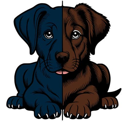 realistic dog split picture