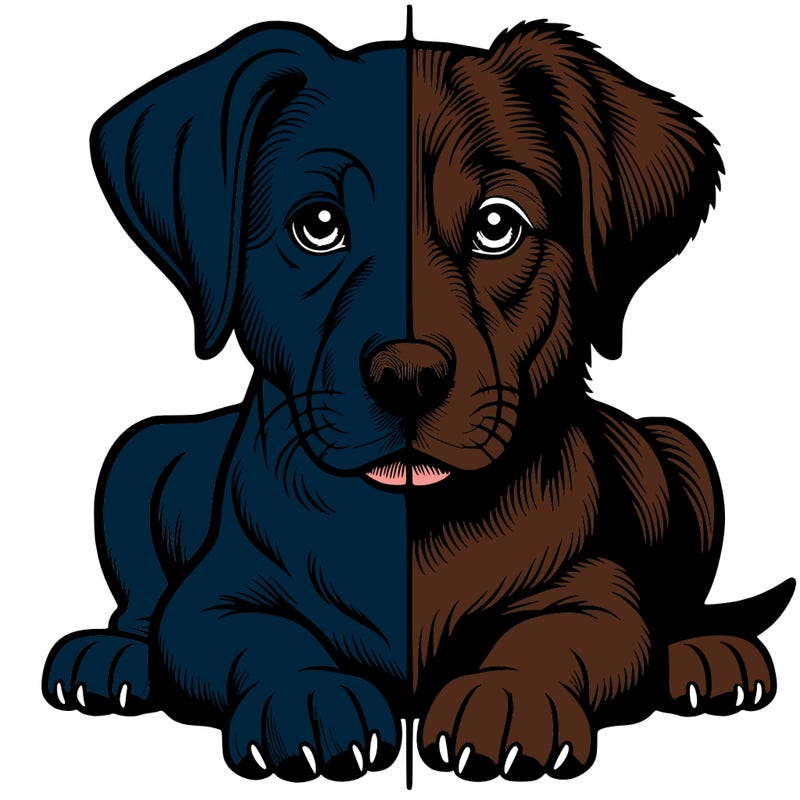 realistic dog split picture