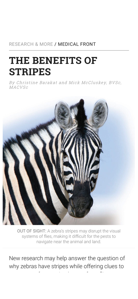 EQUUS Magazine article page titled The Benefits of Stripes with a close-up photo of a zebra
