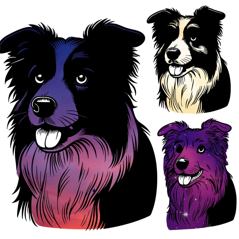 realistic border collie