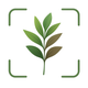 Plant Disease Identifier Bio
