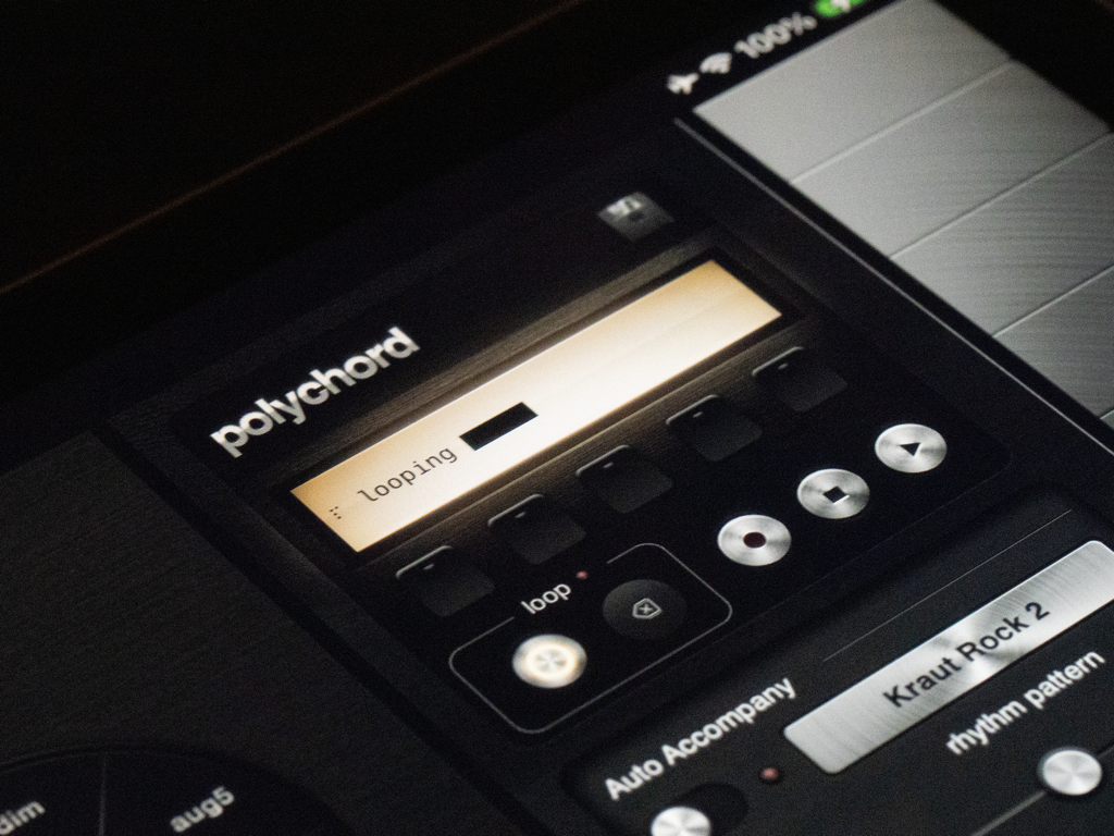polychord - Vue rapprochée de l'interface de l'application musicale Polychord sur iPad avec des commandes de bouclage et de rythme.