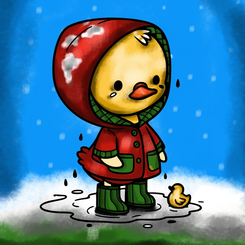 baby duck in a rain coat and boots, in a puddle while it’s raining
