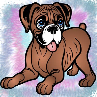 boxer dog