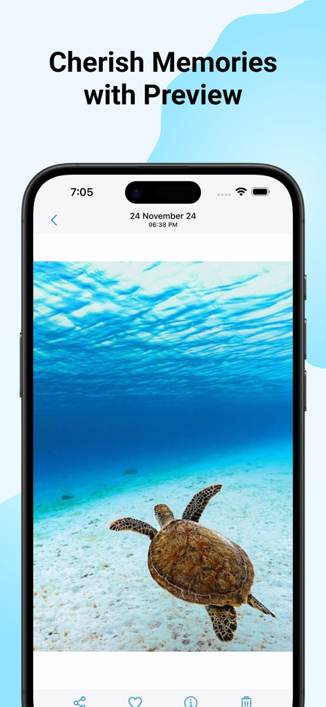 Gallery - Photo Locker - Full screen photo preview of a sea turtle in the gallery app
