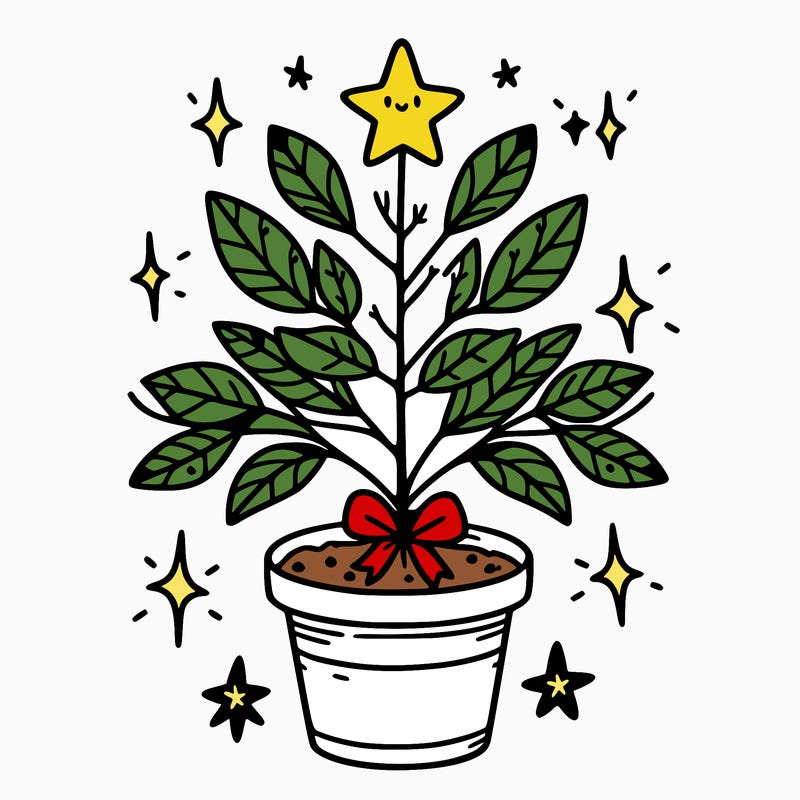 christmas plant