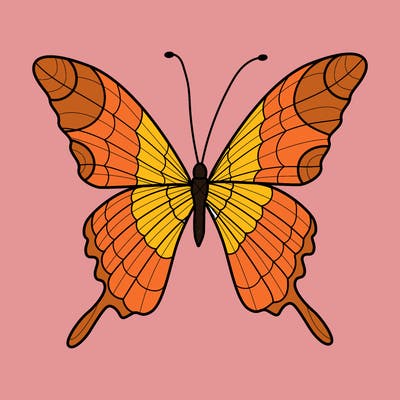 animals_17