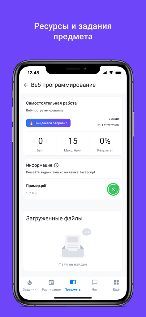 Hemis - Hemis mobile app interface showing assignment details and academic resources for a web programming course.