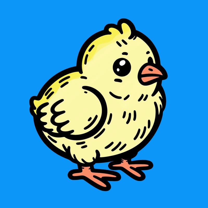 chick
