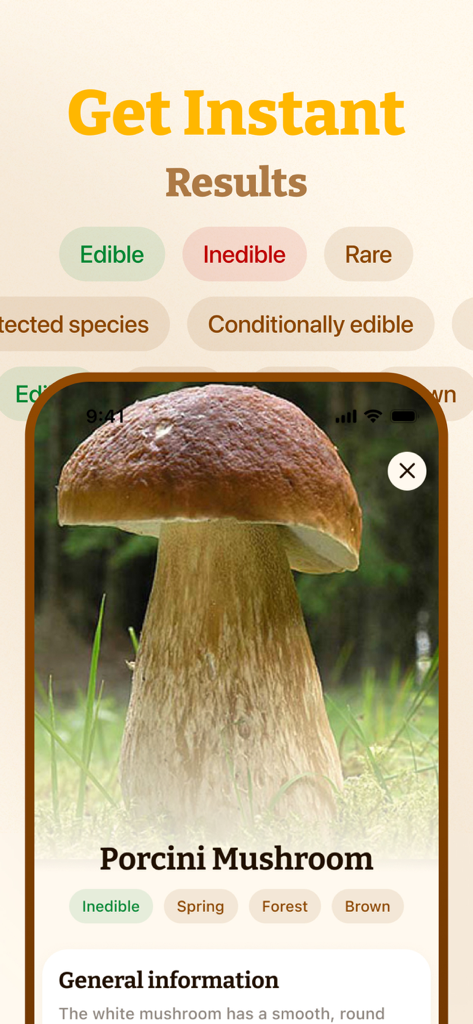 Bildschirm der Pilz ID App zeigt sofortige Identifizierungsergebnisse für einen Steinpilz.