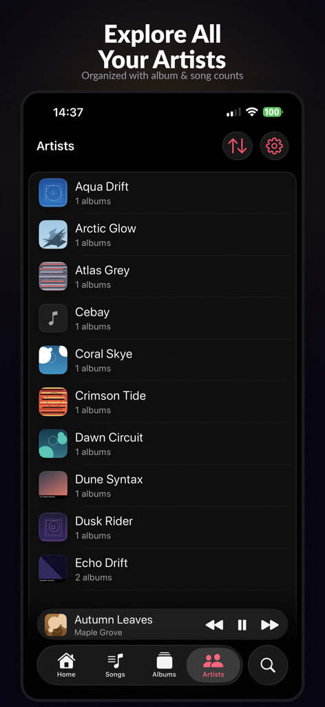 RetroMusic: MP3 & FLAC Player - RetroMusic app artists list view showing organized local music collection on iPhone