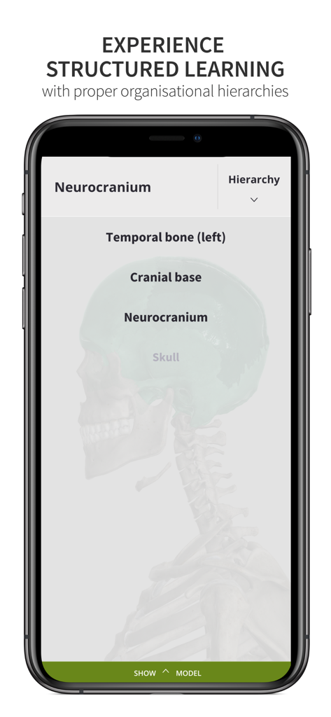 Anatomyka Skeleton - Schermata dell'app Anatomyka Skeleton che visualizza la gerarchia anatomica per il neurocranio e le ossa del cranio